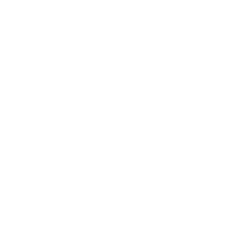 vfrog